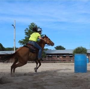 Meet your Posher, Gina